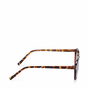 10249250 TORTOISE